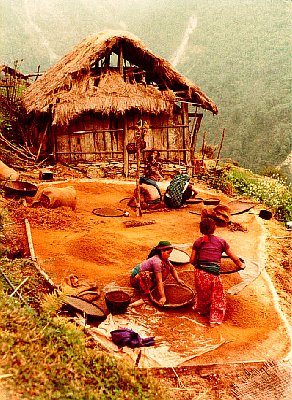 1979 Nepal, Pokhara-Muktinath Trek. Women working to the side of our trail. Ken Street took this photo.